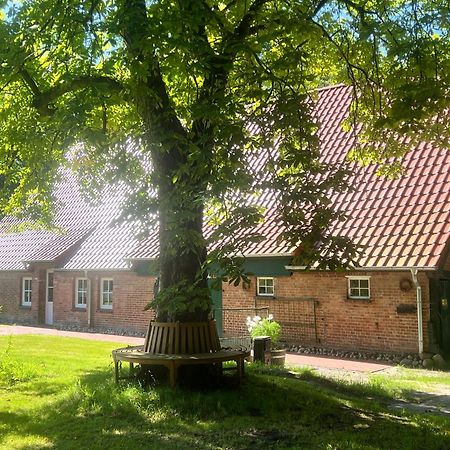 Ferienwohnung Mit Garten In Meyenburg - Keine Monteure Schwanewede Exterior photo